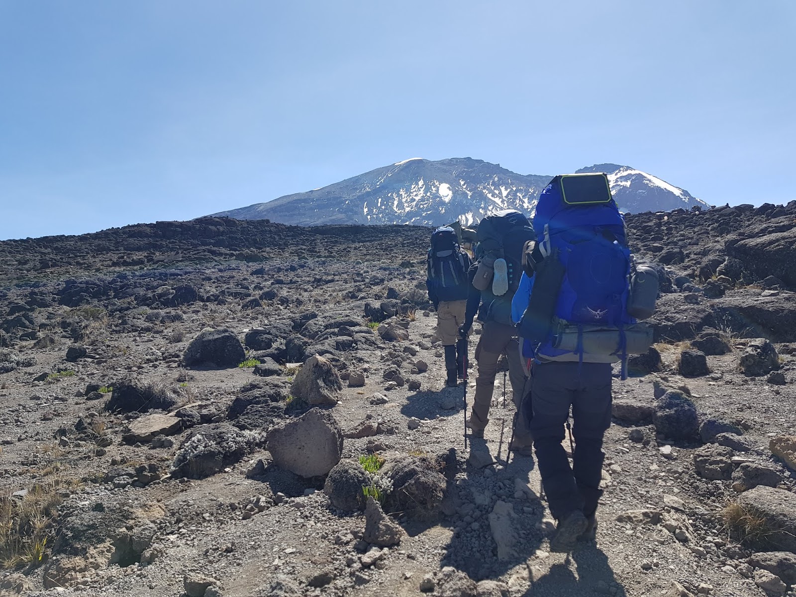 8 Days Mt Kilimanjaro Climbing: Shira Route