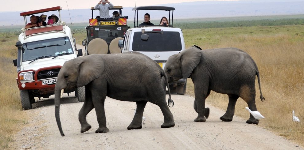 Amboseli National Park Day Trip from Nairobi