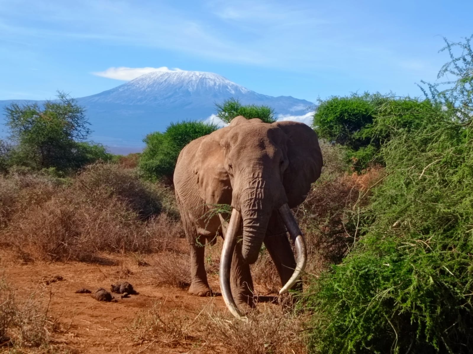 Amboseli National Park 7