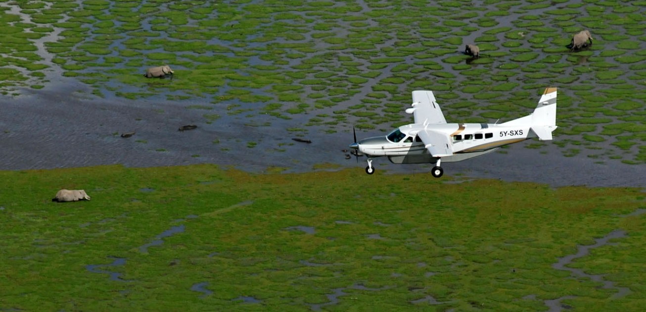 3 Days Amboseli Luxury Flying Safari