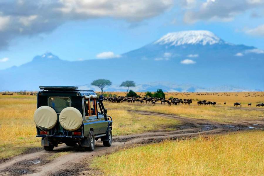 7 Days – Masai Mara, Lake Nakuru, Lake Naivasha & Amboseli Safari