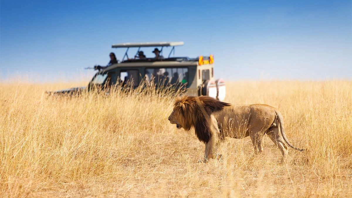 Is Masai Mara safe for tourists 2 1200x675 1