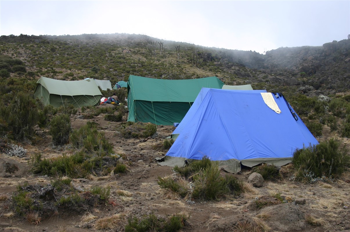 8 Days Mt Kilimanjaro Climbing: Rongai Route