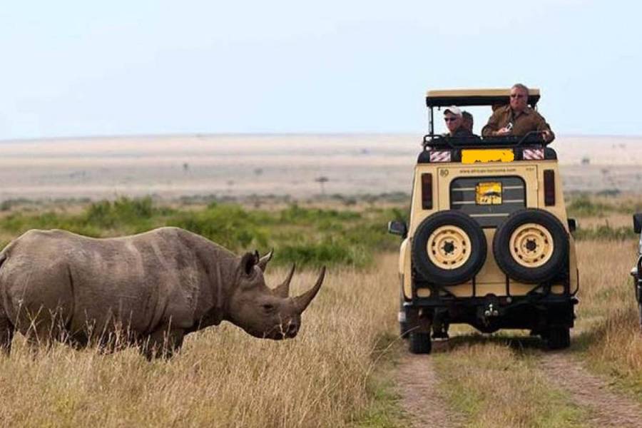 10 Days Amboseli, Aberdares, Samburu, Ol Pejeta, Lake Nakuru & Masai Mara