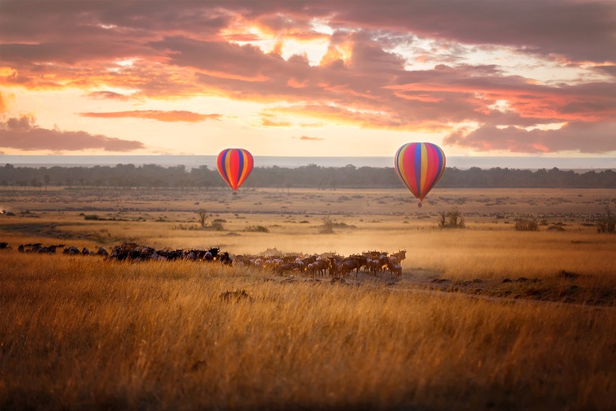 3 Days Masai Mara Flying Safari from Mombasa