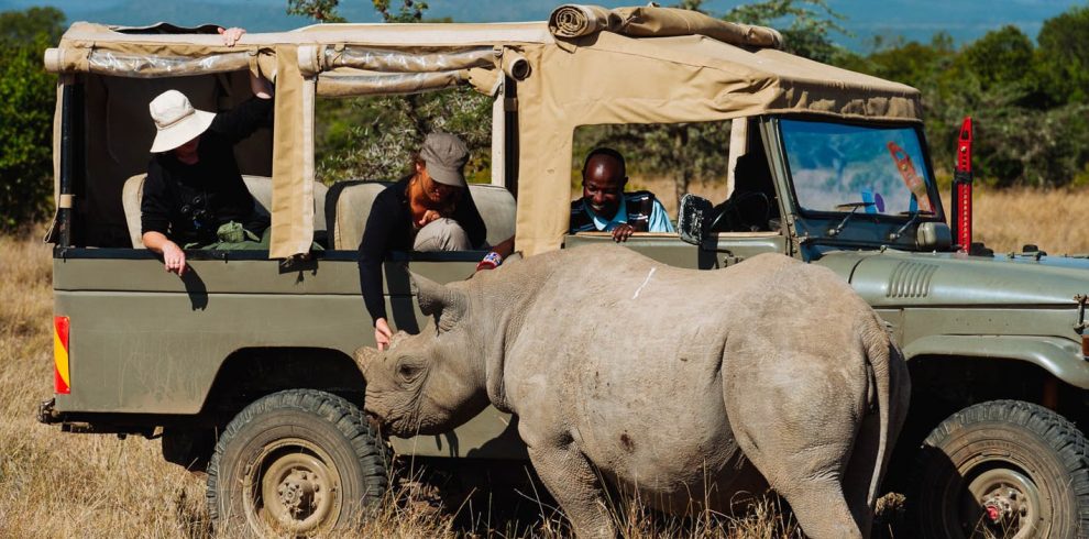 Full-Day Trip to Ol Pejeta Conservancy & Chimpanzee Sanctuary