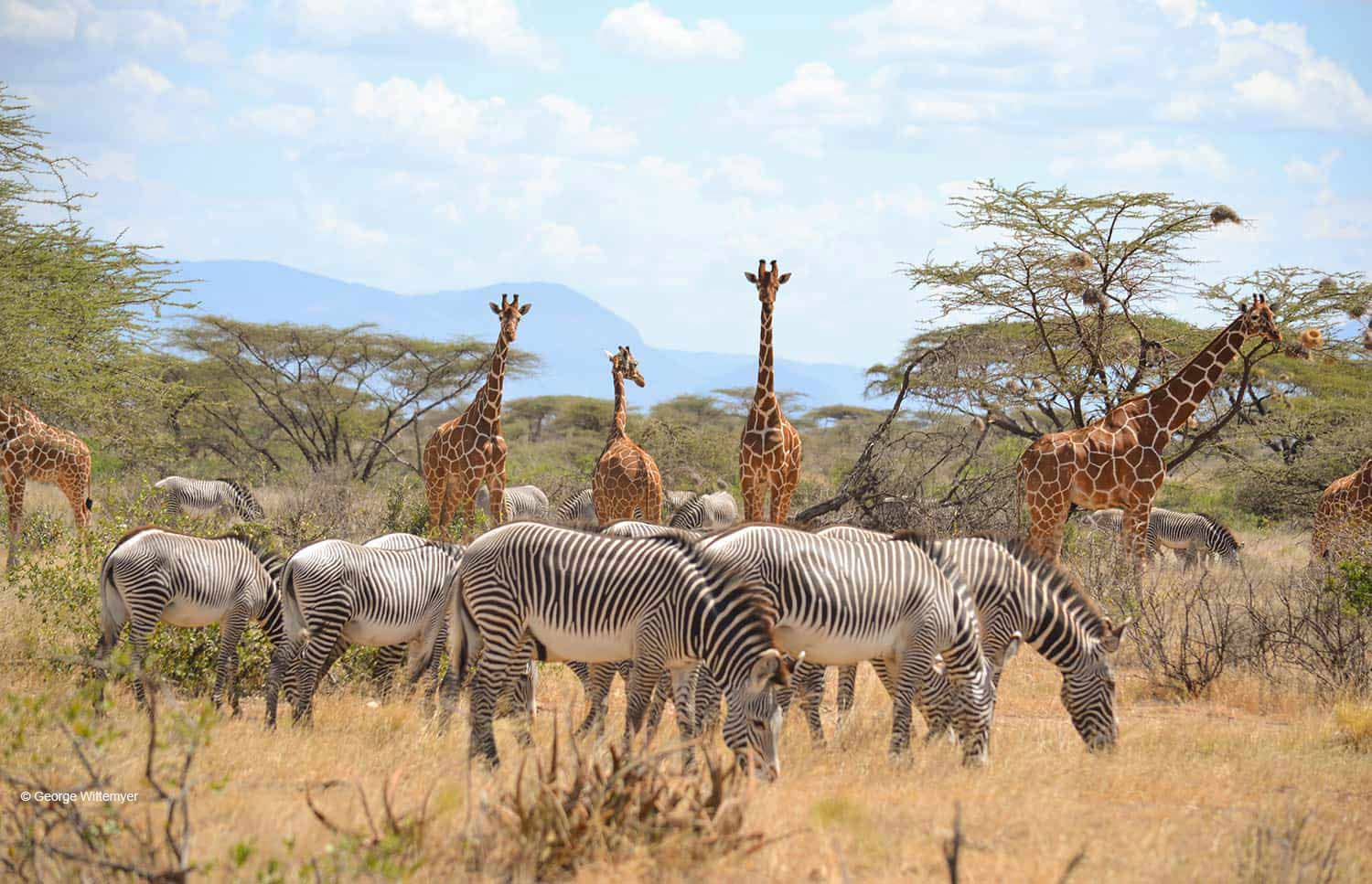Samburu National Park