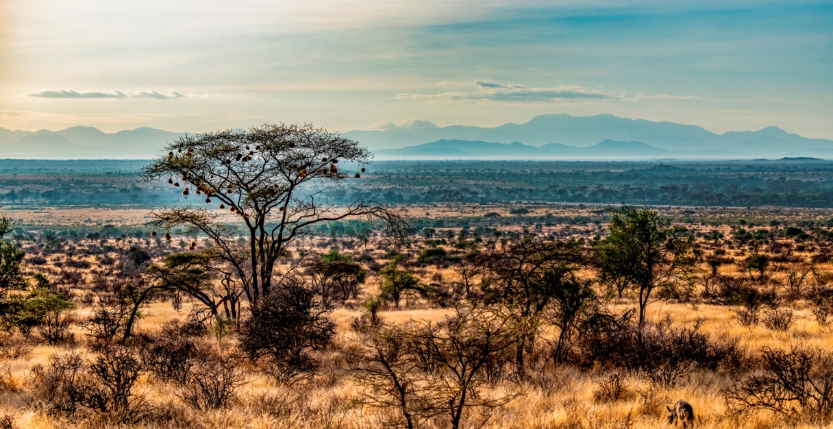 3 Days Samburu National Reserve Safari