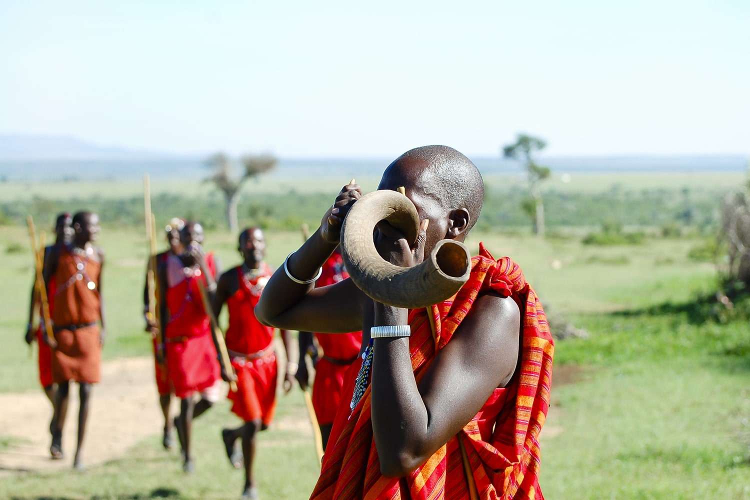 culture safari