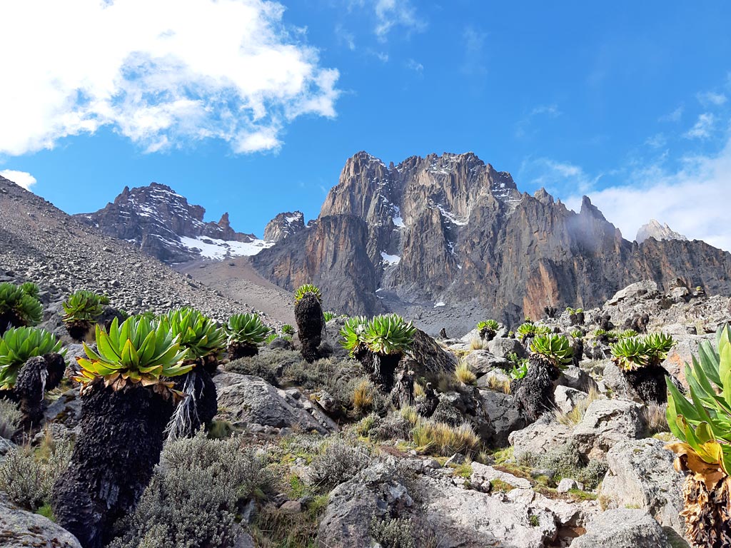 featured chogoria route mt kenya gallerie