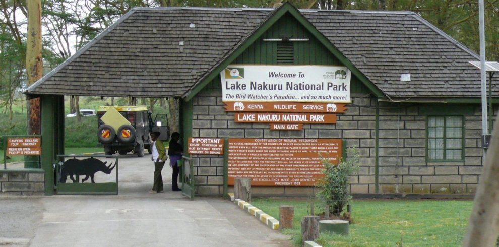 Lake Nakuru National Park Day Trip
