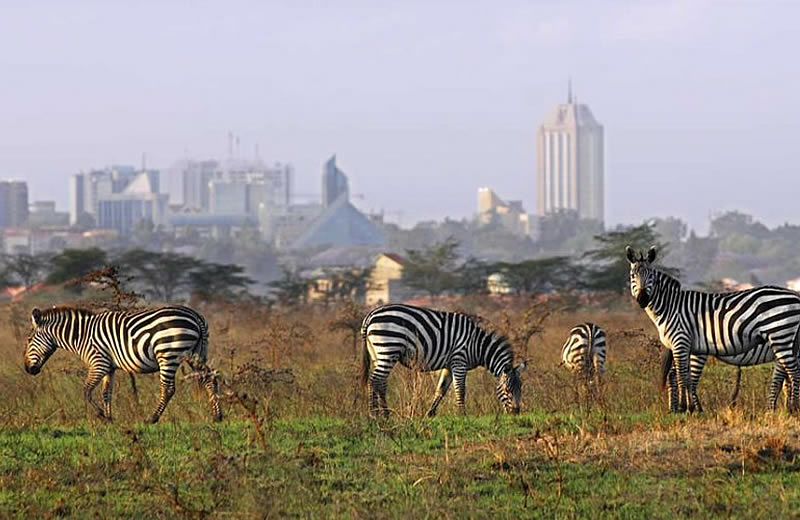 nairobi short excursions