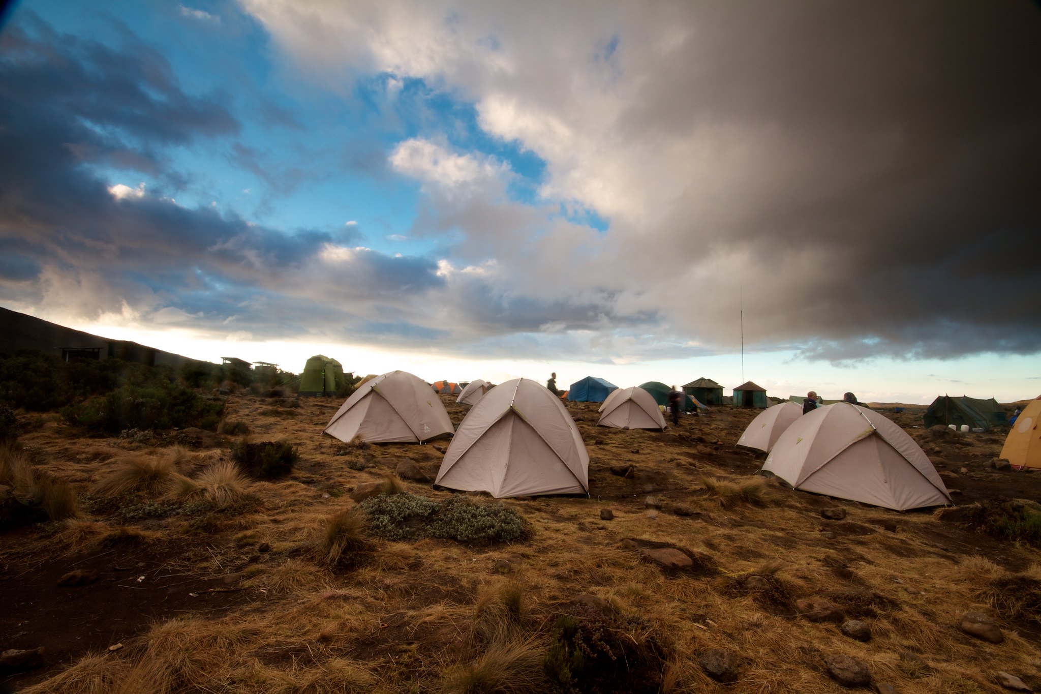 shira1 camp1
