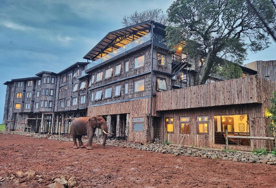 4 Days Aberdares & Samburu Luxury Wildlife Safari